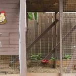 45 Free Chicken Coop Plans With Simple Diy Instructions