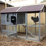 7 Best Automatic Chicken Coop Door Products