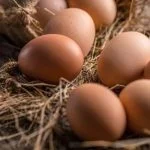 How To Correctly Store Fresh Eggs: The Complete Guide