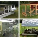 50 Best Fun And Easy Diy Chicken Tractor Plans