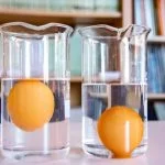 Egg Float Test: Fact Or Fiction