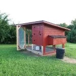 5 Best Chicken Coop Heaters (Review Guide)