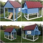 Chicken Coops: What To Know Before Buying