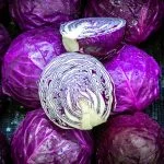 Can Chickens Eat Red Cabbage