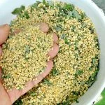 How Much Dried Oregano for Chickens
