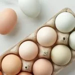 Chicken Egg Colors Chart: Blue, Purple, Green And More